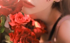 碟民网百度影音